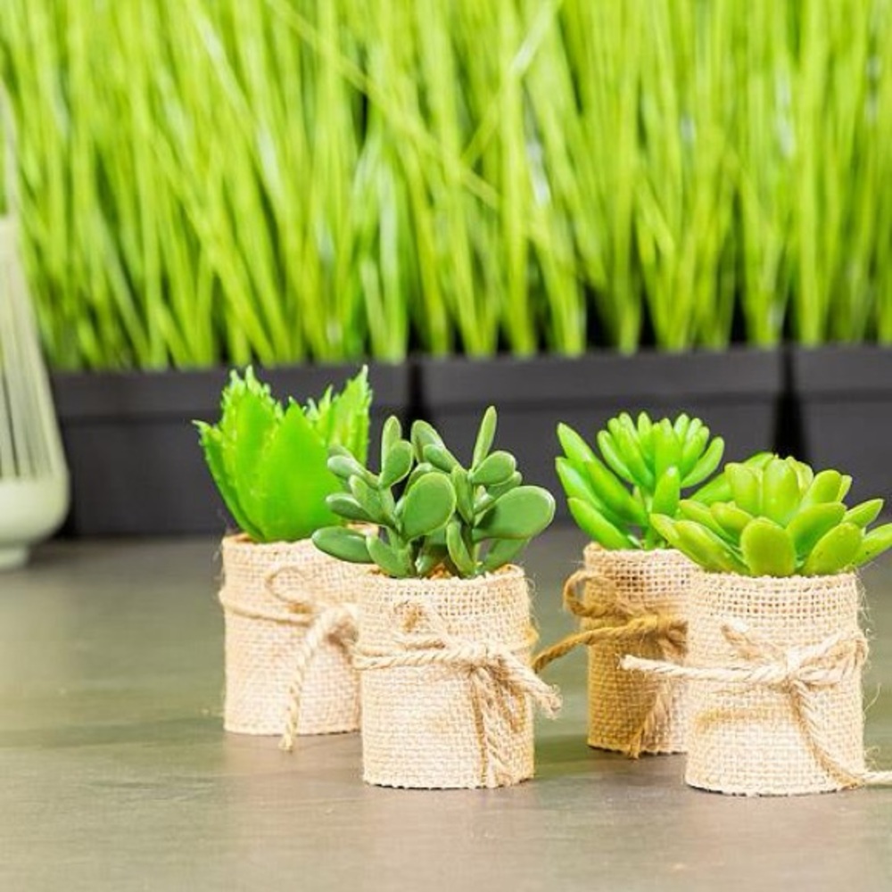 Set of 4 Faux Succulents in Burlap Wrap